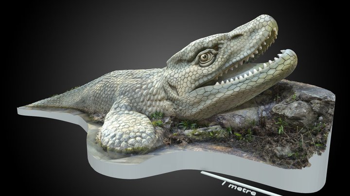 29 Mosasaurus hoffmannii 3D Model