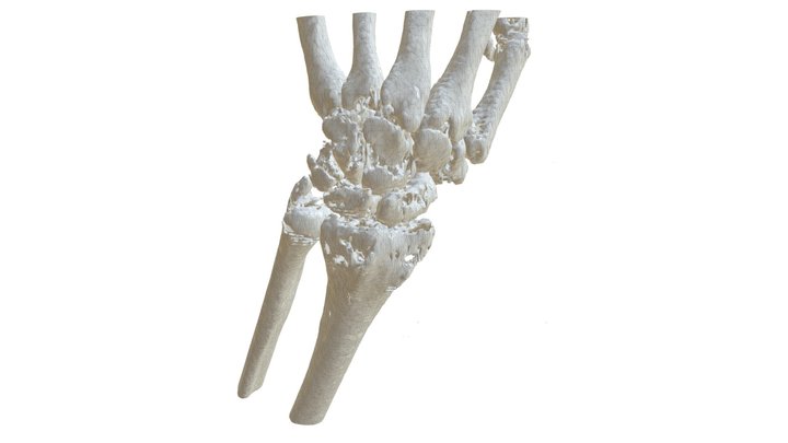 Przykładowy model na bazie tomografii komp. 3D Model