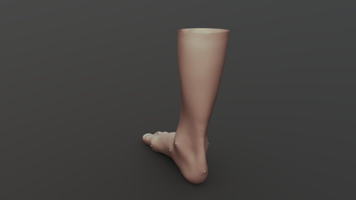 Skan nogi pacjenta 3D Model