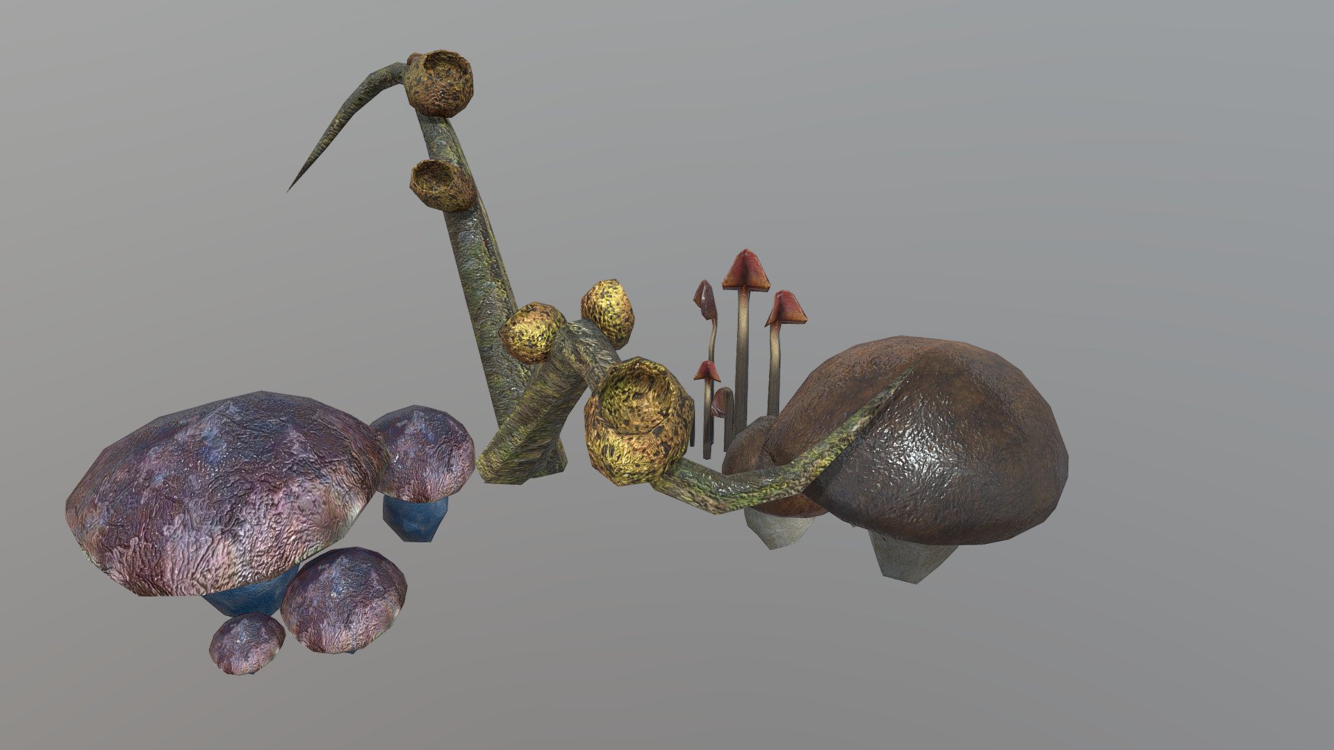Mushrooms
