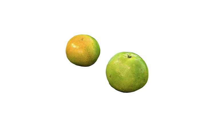 Limau Madu / Citrus Suhuiensis (Scaniverse) – Kostenloses 3D-Modell STL
