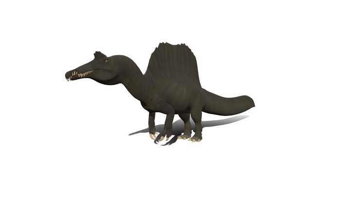 Spinosaurus Maroccanus - Idle – Kostenloses 3D-Modell STL