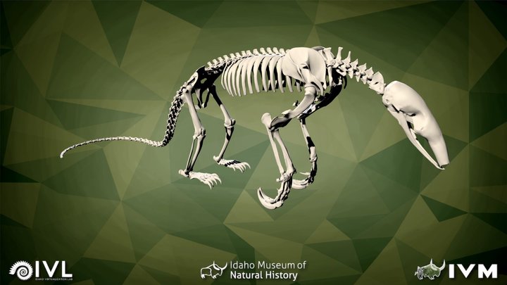 IMNH R-997 Anteater – Modello 3D gratuito STL