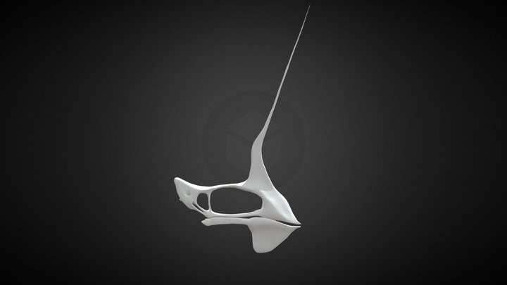 Tupandactylus navigans - 3D reconstruction 3D Model