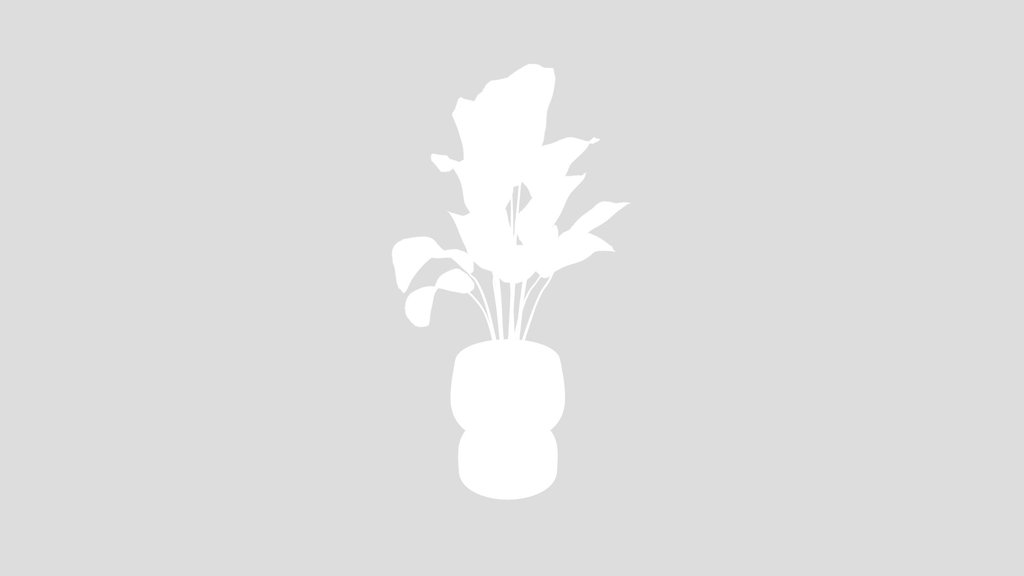 Indoor Plant Cuban Cigar