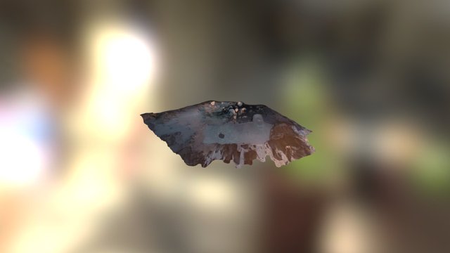 DroneCaptureCaseyNeistat 3D Model