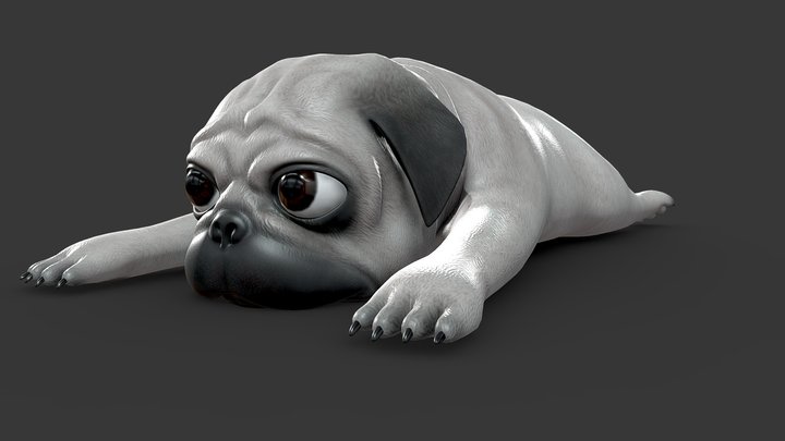 Pug Dog 3D Model