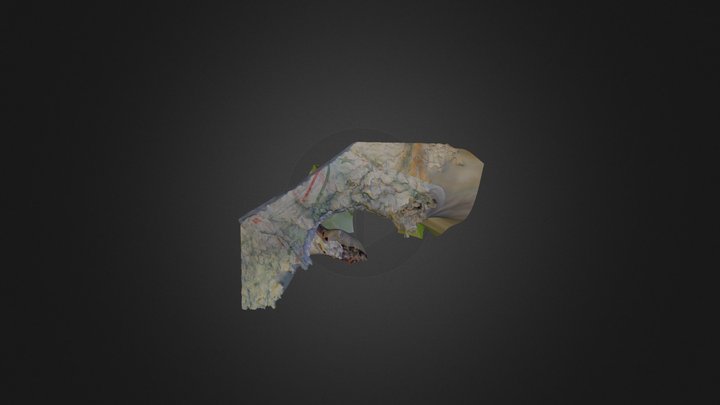 Cactus 3D Model