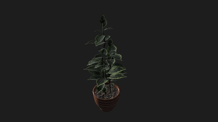 plant 3D Model
