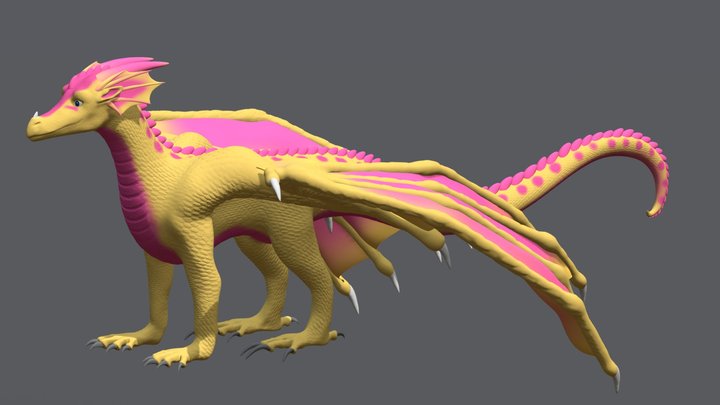 Kinkajou 3D Model