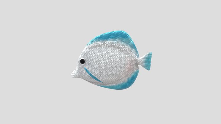 BullockFish 3D Model