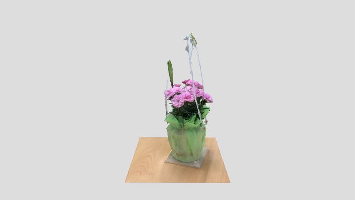 Pot 3D Model