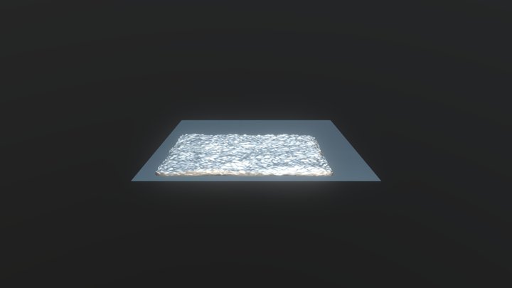 The IndoRapter 3D Model