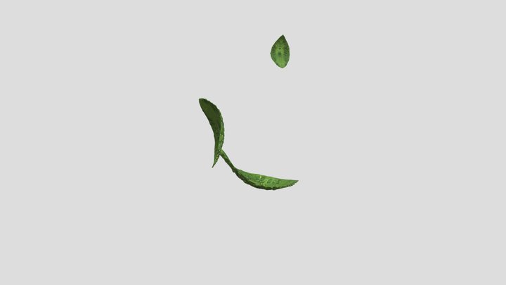 TR33 3D Model