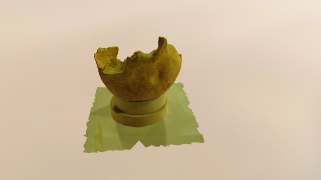 Craneo2 3D Model