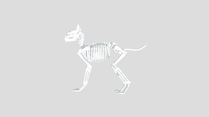 Flexi Articulated Skeleton Cat Keychain STL…