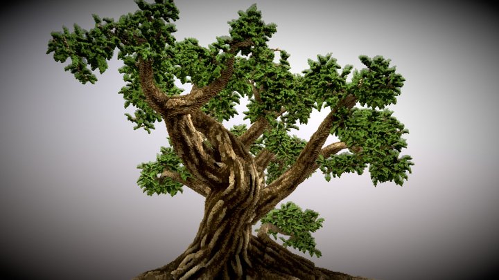 Wide Oak Tree 3D Model