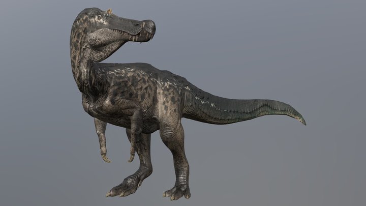 Dinosaur 3D models - Sketchfab