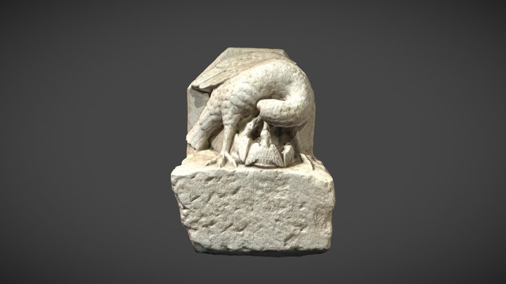 Pelícano alimentando a sus crías | Museo de León 3D Model