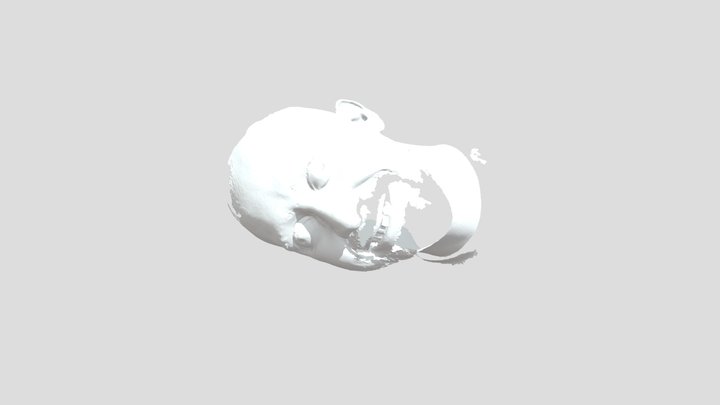 einscan-pro-2x 3D Model