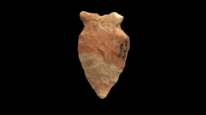 Small Projectile Point 3D Model