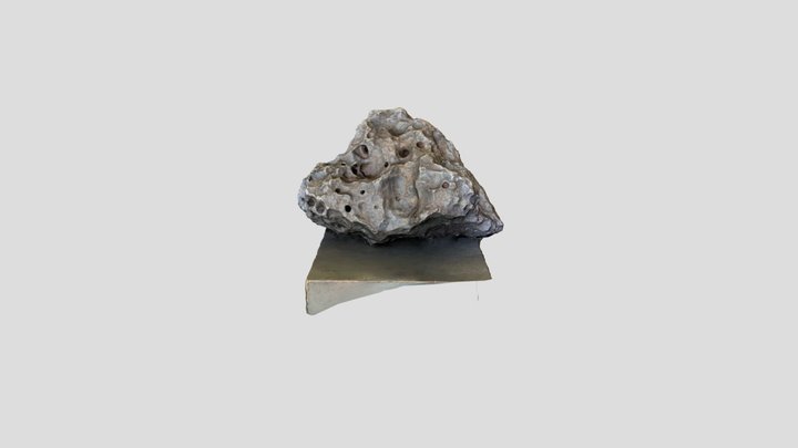 Holsinger Meteorite 3D Model