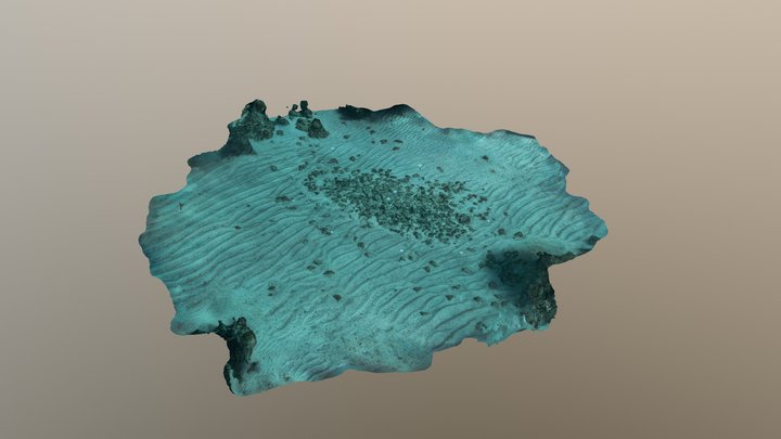 Colosseum Dive Site, Punta Cana 3D Model
