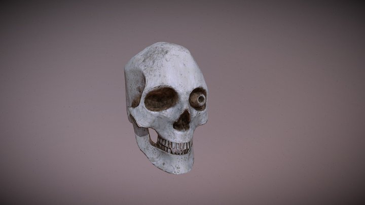 crane 3D Model
