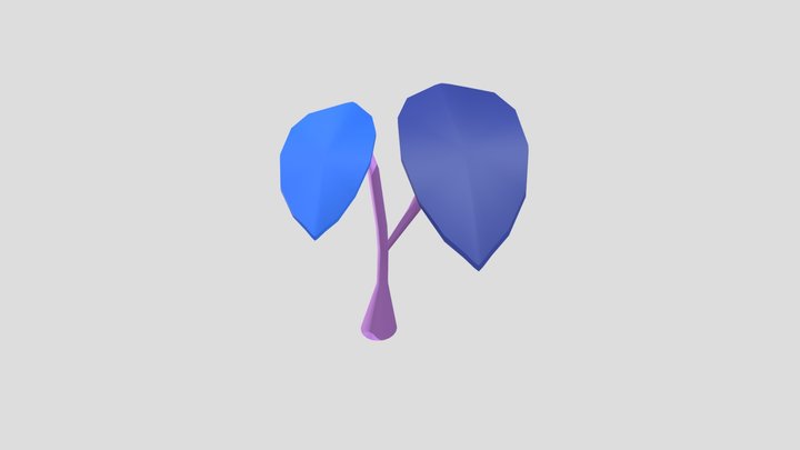 ACIDIUMCISOPIDE 3D Model