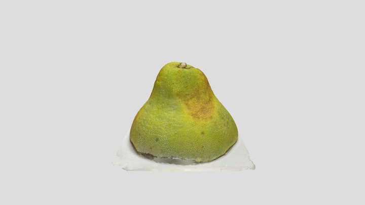 Grapefruit 3D scan 3D Model