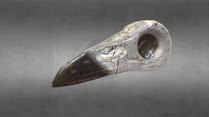 Crystal Raven Skull 3D Model