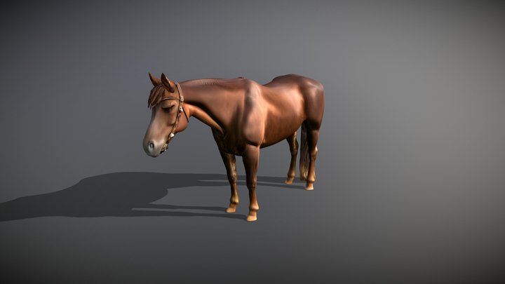 Horse 3D Model
