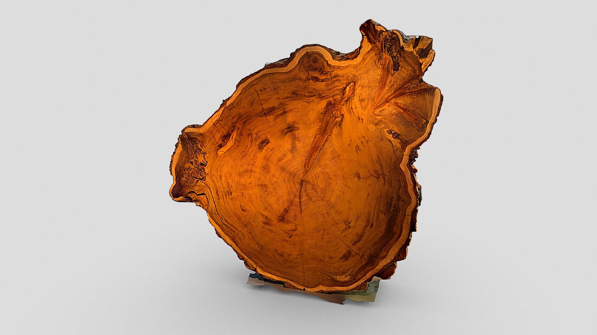 Redwood cross section