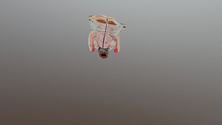 Test 8th 3D Model