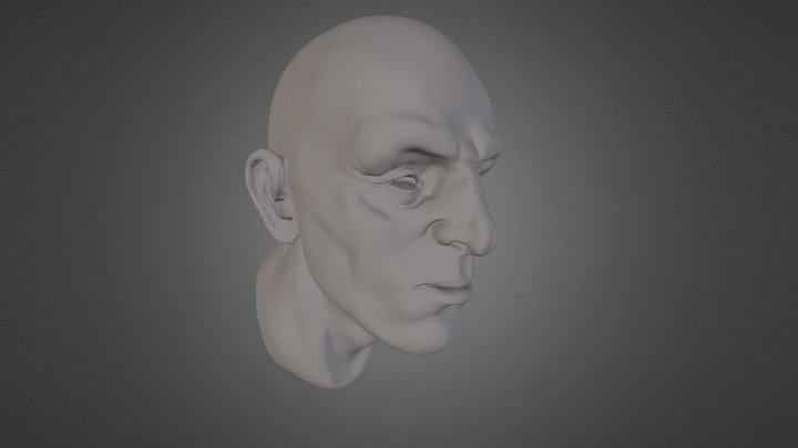 Face4 3D Model
