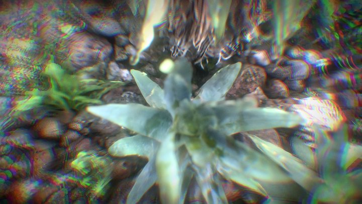 Botanischer Garten mediterran aloes 3D Model