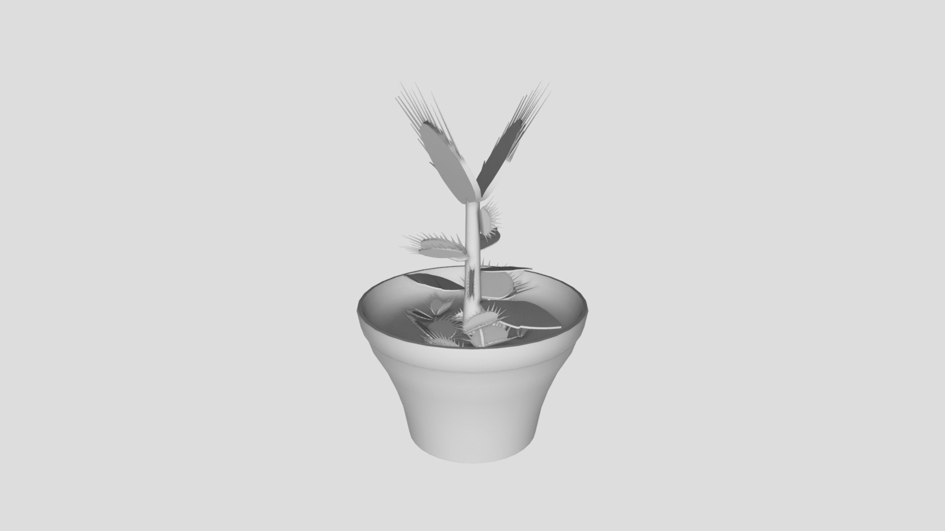 Venus Fly Trap CT4012