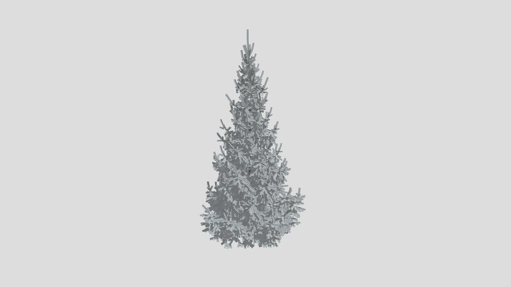 Norway Spruce Picea Abies 6 0m