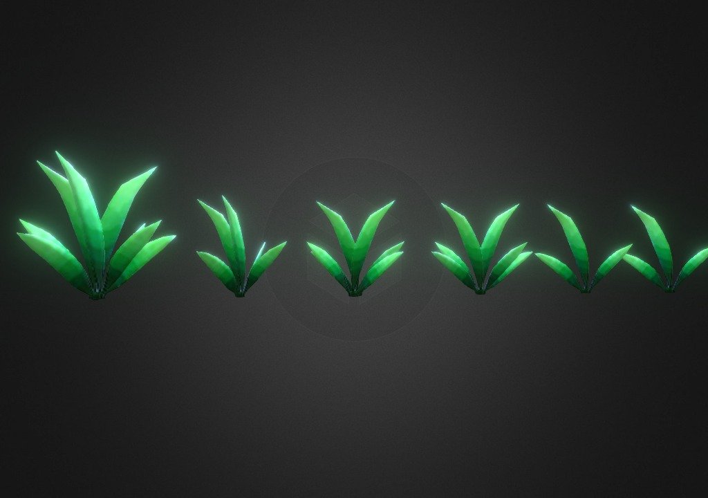Grass