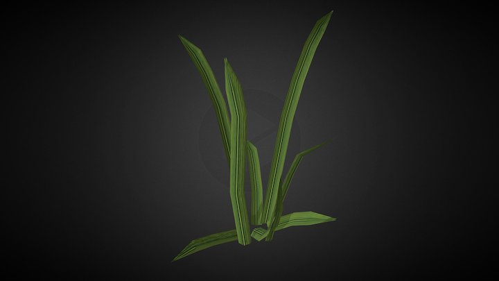 Grass 3D Model