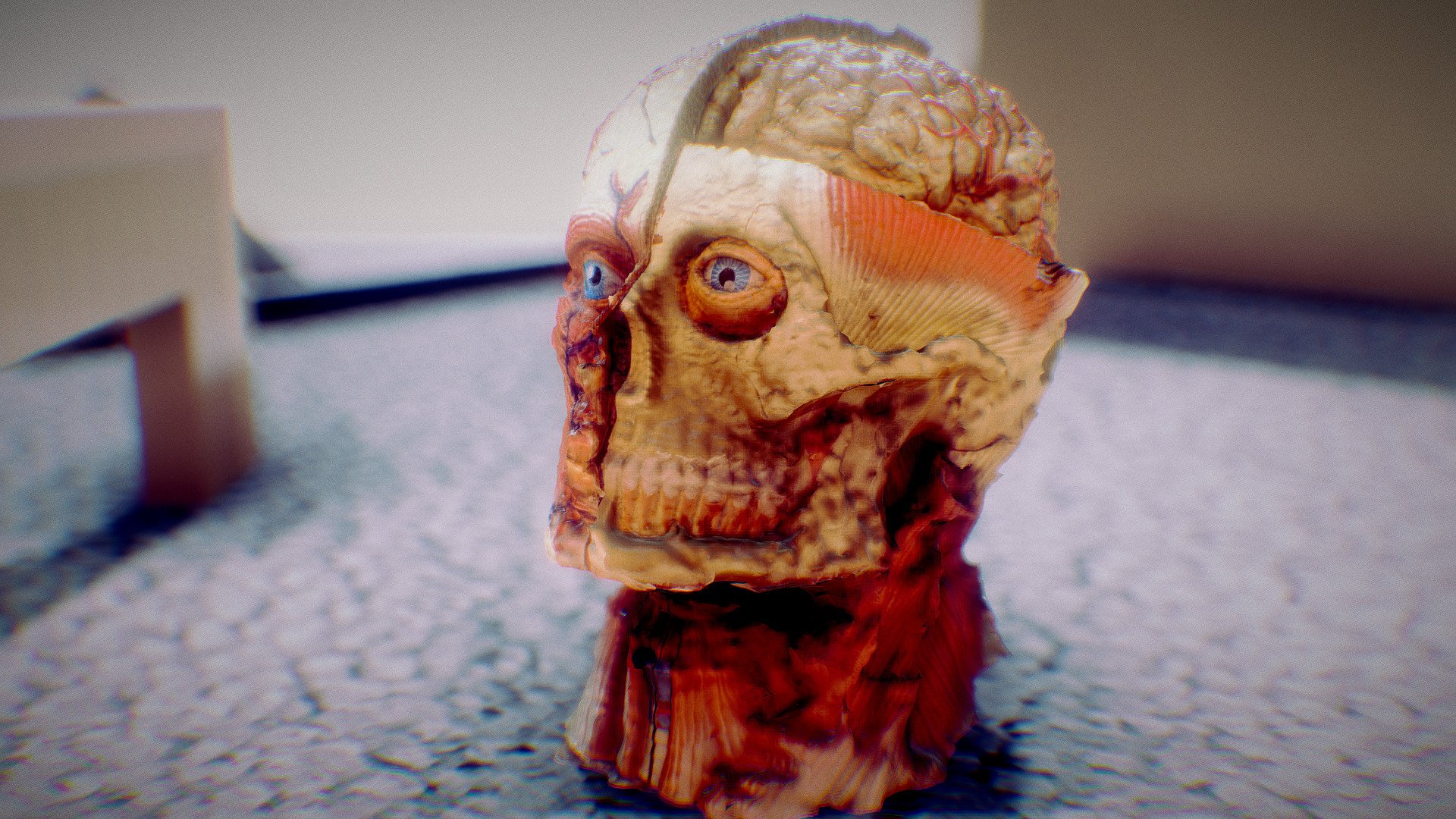 3D-Scanned Head