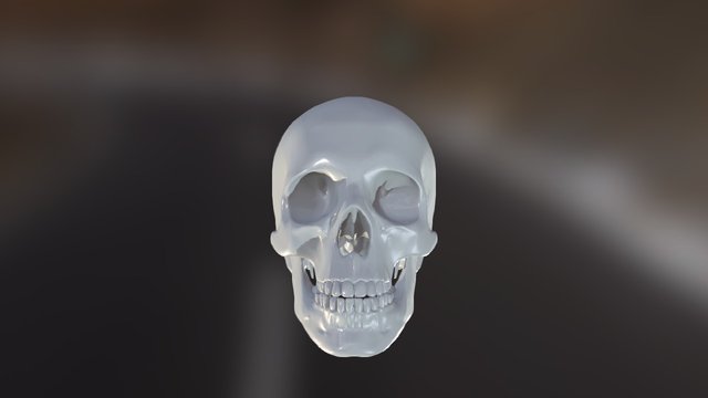 Skull 3D Model