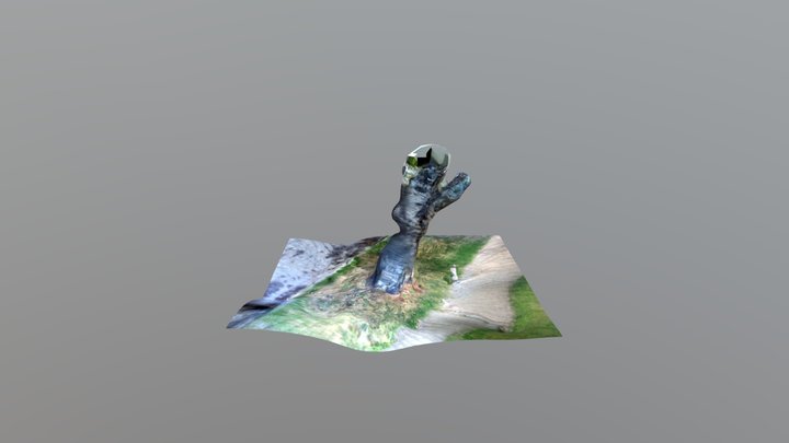 Tree4 3D Model