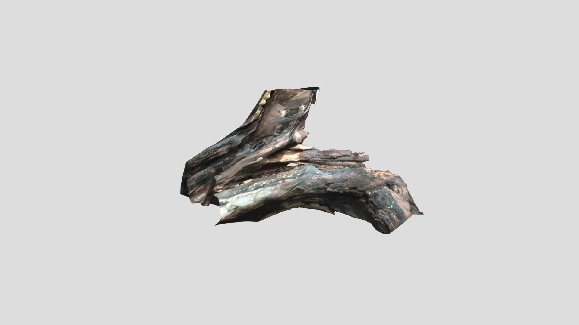 Hollow Bough