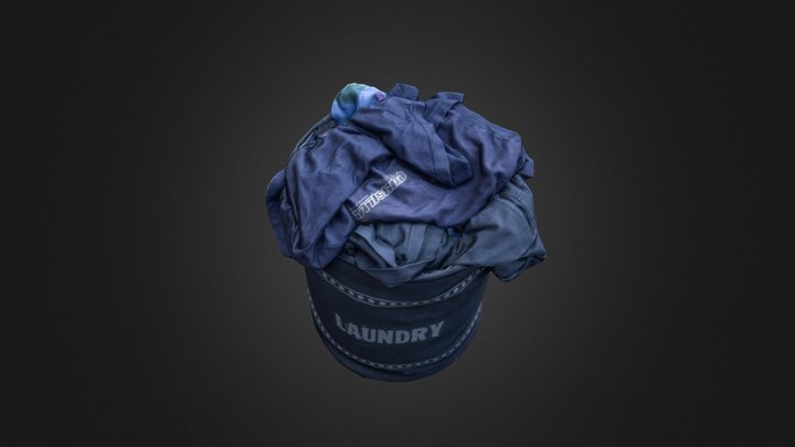Laundry LP 3D Model
