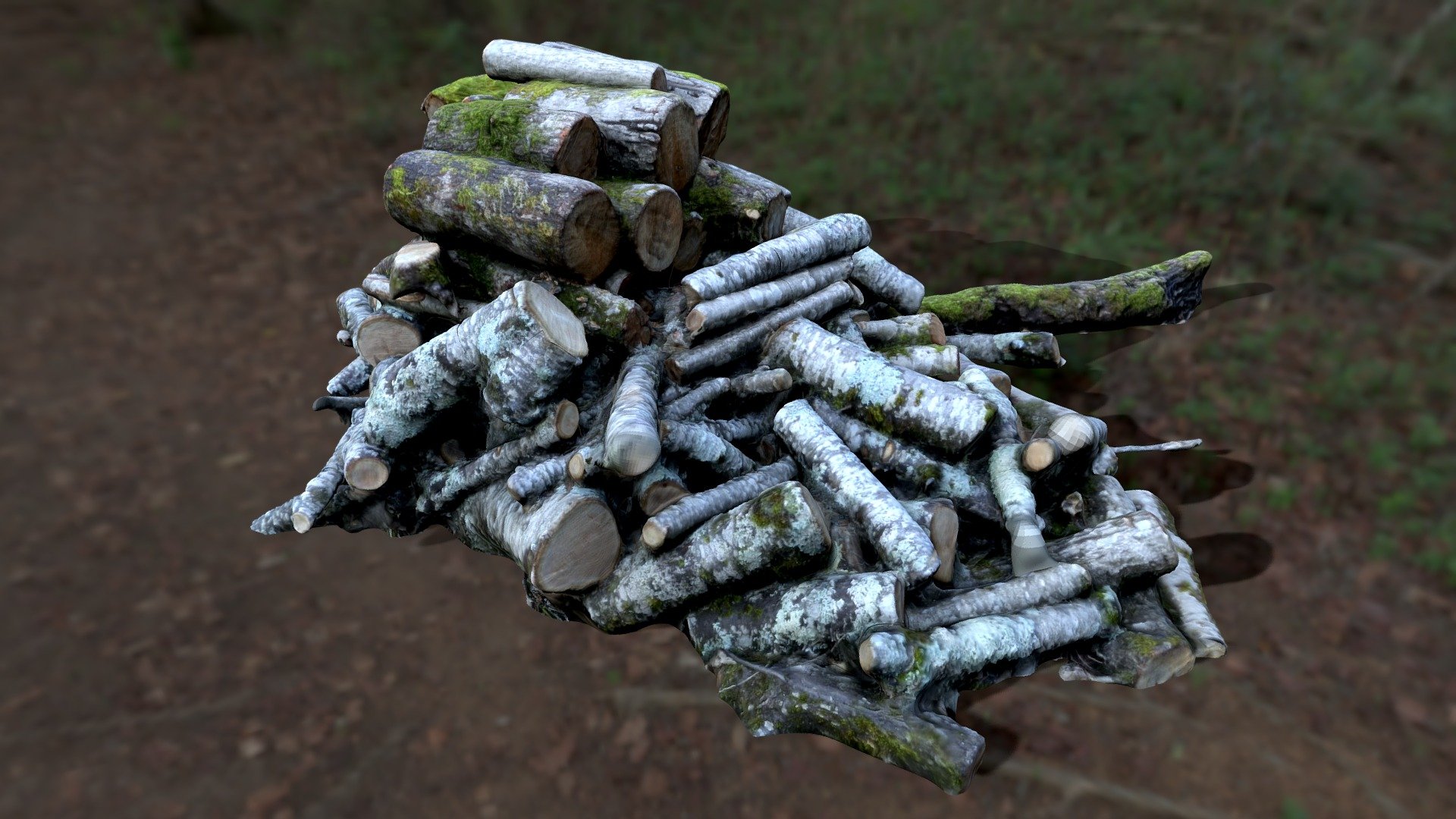 N015 Wood Logs