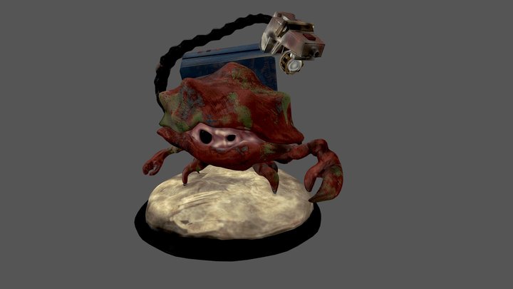 Crab Model 3D Model
