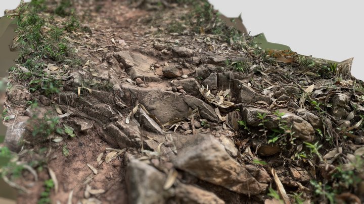 Dirt Stoney Path 3D Model
