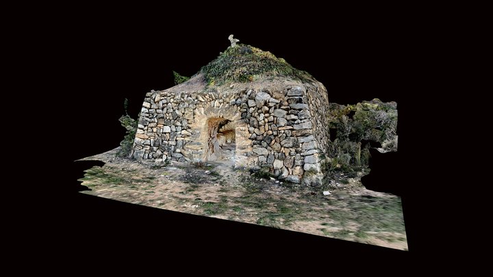 Barraca dels 1000 homes 3D Model