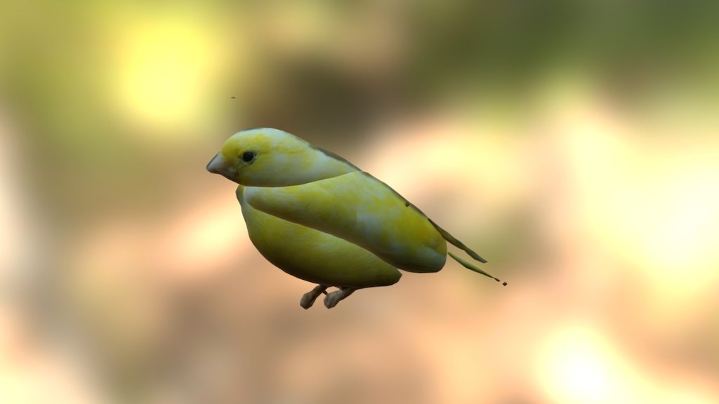 Test 3D upload